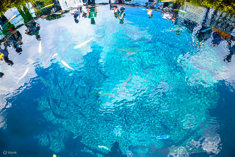 [Mount Fuji Family Check-in Recommendation] Arakurayama Park & Makaino ...